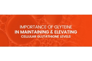Importance of Glyteine in Maintaining and Elevating Cellular Glutathione Levels