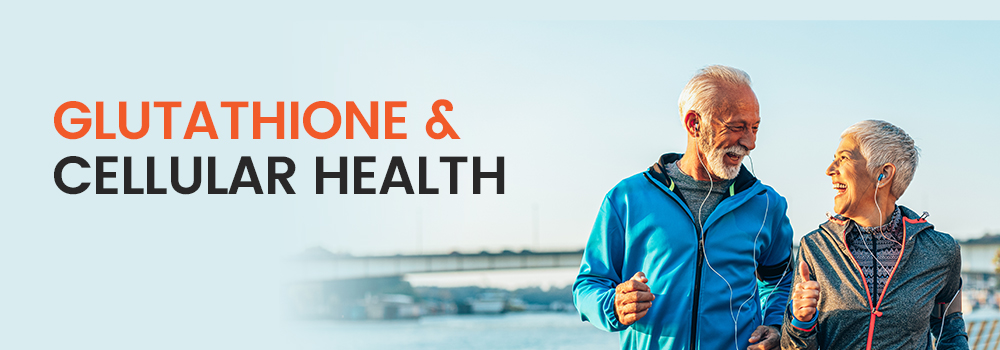 The importance of Glutathione in maintaining cellular health