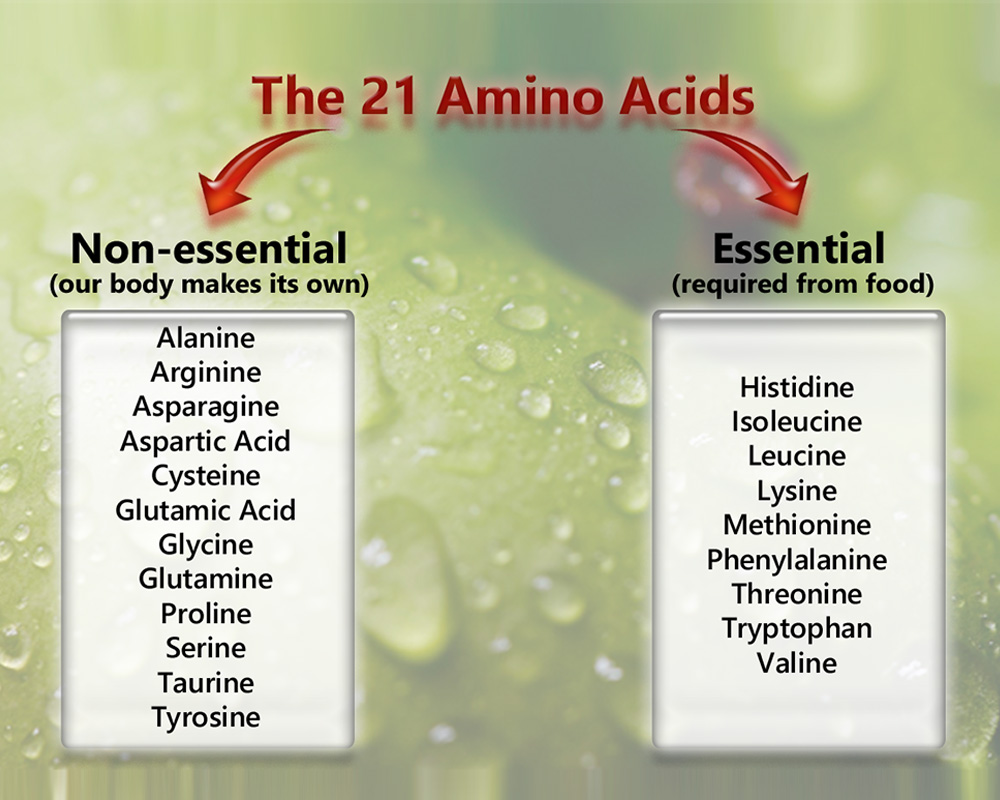 21 Amino Acids