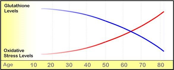 Glutathione Production