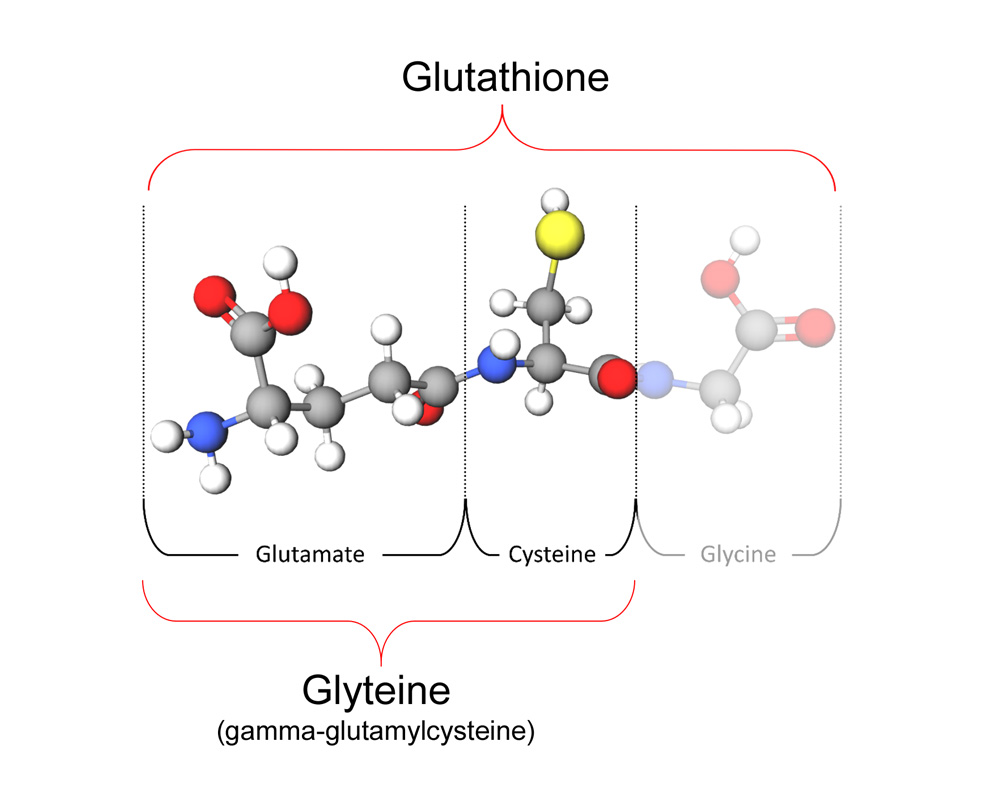 Glutathione